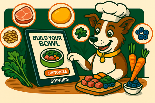 Stop Overthinking Your Pup's Dinner: The Simple Human-Grade Plan That Keeps Tails Wagging