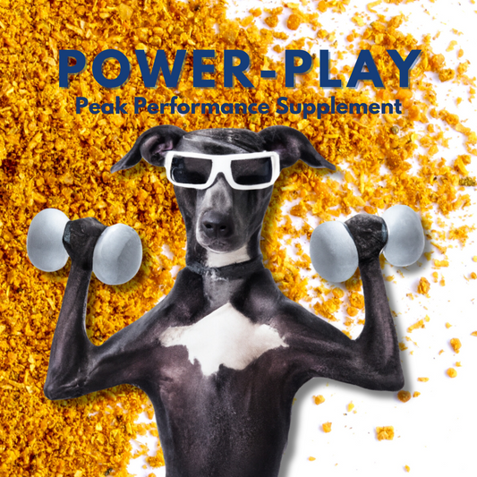 PowerPlay